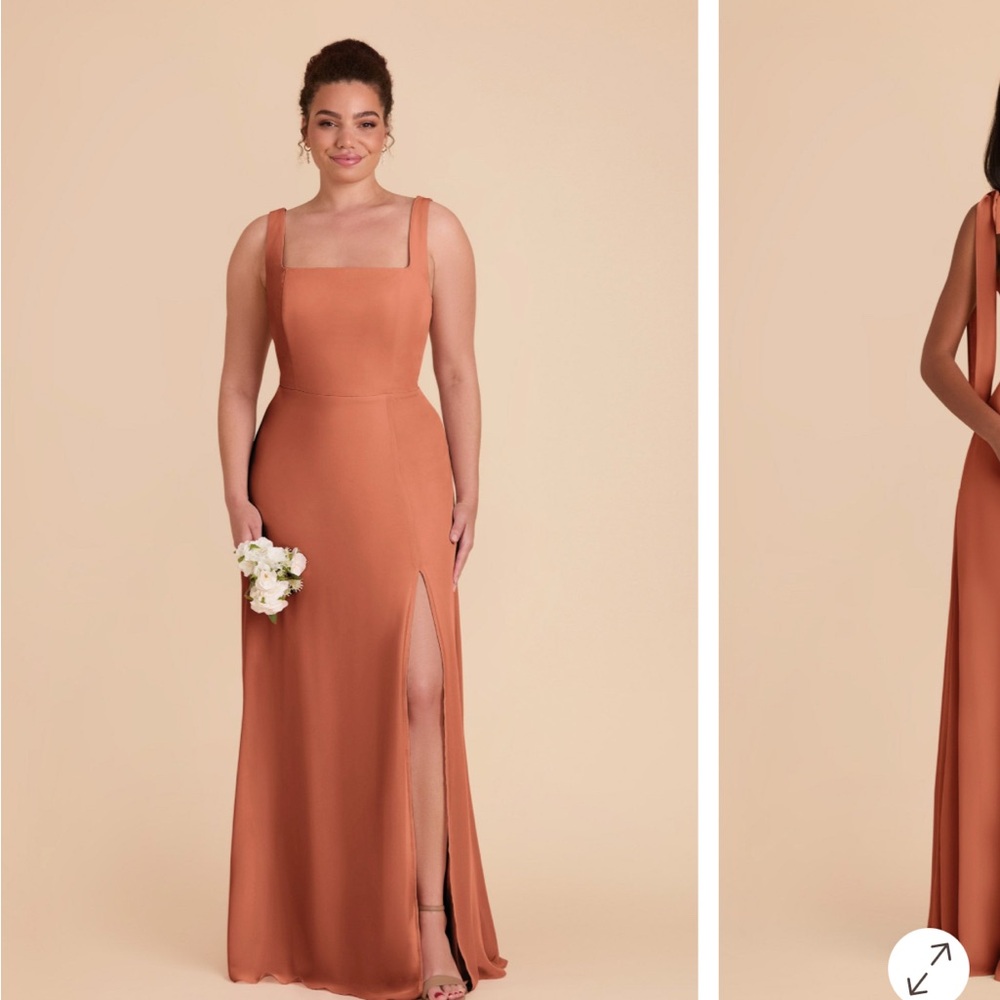NEW NEVER WORN Birdy Grey Bridesmaid/Wedding Guest Dress- Terracotta Chiffon 3x